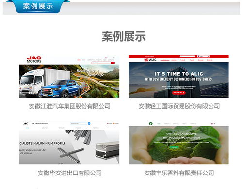 濟(jì)南外貿(mào)企業(yè)如何通過Google推廣實(shí)現(xiàn)多圖產(chǎn)品展示與詢價(jià)轉(zhuǎn)化